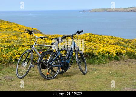 Île de ÒBelle Ile en Mer (au large des côtes de Bretagne, nord-ouest de la France) : vélos le long de la côte sauvage. Banque D'Images
