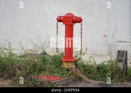 Des poteaux incendie rouges sur le bord d'un mur rempli d'herbe.Pili bomba. Banque D'Images