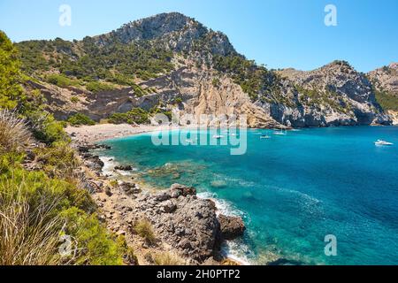 Eaux turquoise de Majorque. Plage de Coll Baix. Côte méditerranéenne. Espagne Banque D'Images