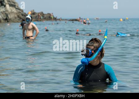 Cerbere (sud de la France) : le sentier sous-marin de Cerbere Banyuls, sentier de plongée libre, dans la réserve marine naturelle de Cerbere Banyuls.Plongeur portant un sno Banque D'Images