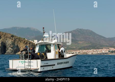 Plongeurs de la réserve naturelle marine de Cerbere Banyuls (sud de la France) en bateau Banque D'Images