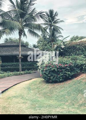 Villa entourée de palmiers et luxuriante dans un beau jardin verdoyant à la station tropicale par temps nuageux, maison sous les tropiques.Concept de voyage et de tourisme Banque D'Images