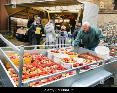 11 octobre 2021, Saxe, Fuchshain BEI Leipzig: Un homme charge ses pommes récoltées de la remorque devant un broyeur mobile de pommes, que le jardin et paysagiste de Leipzig Andreas Richter a installé pour une journée dans une ferme à Fuchshain près de Leipzig.Devant les yeux de ses clients, la petite usine de fruits sur roues va transformer les fruits riches en vitamines en jus direct naturellement nuageux à divers endroits jusqu'à la fin du mois d'octobre et peut ensuite être emmenée chez elle en paquets de 5 litres.Avec la cidery mobile, Andreas Richter veut contribuer à la préservation, mais aussi au répliquant Banque D'Images