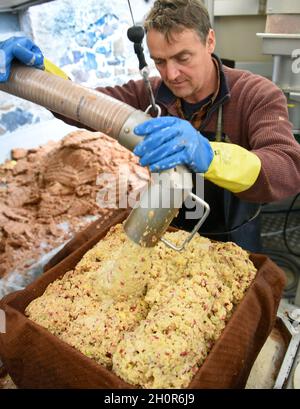 11 octobre 2021, Saxe, Fuchshain BEI Leipzig: Au broyeur mobile de pomme installé pour une journée à Fuchshain par le constructeur de jardin et de paysage de Leipzig Andreas Richter, le constructeur de jardin et de paysage Marco durant remplit la purée de pommes et de quinces sur des chiffons de pressage.Devant les yeux des clients avec la petite usine de fruits sur roues jusqu'à la fin d'octobre dans différents endroits les fruits auto-récoltés riches en vitamines sont transformés en jus direct naturellement nuageux et peuvent être pris ensuite dans 5-litre-Verpackungen maison.Grâce à la cidery mobile, Andreas Richter souhaite contribuer à la Banque D'Images