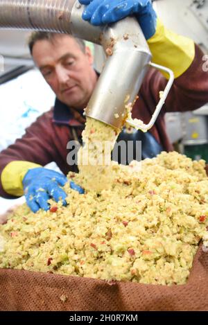 11 octobre 2021, Saxe, Fuchshain BEI Leipzig: Au broyeur mobile de pommes installé pour une journée à Fuchshain, près de Leipzig, par le jardin et paysagiste de Leipzig Andreas Richter, le paysagiste et paysagiste Marco durant remplit la purée de pommes et de quinces sur des tissus de pressage.Devant les yeux des clients avec la petite usine de fruits sur roues jusqu'à la fin d'octobre dans différents endroits les fruits auto-récoltés riches en vitamines sont transformés en jus direct naturellement nuageux et peuvent être pris ensuite dans 5-litre-Verpackungen maison.Avec la cadery mobile, Andreas Richter veut con Banque D'Images