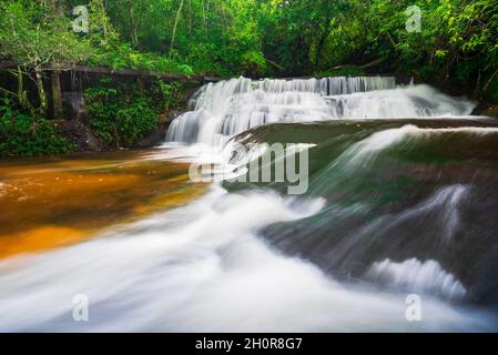 belle cascade tropicale dans la forêt profonde Banque D'Images