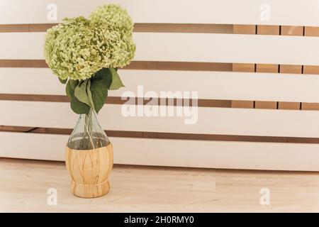 Photo de fleurs d'hortensia vert frais dans une bouteille de verre originale sur fond de planches verticales blanches debout sur le sol.Copier l'espace. Banque D'Images