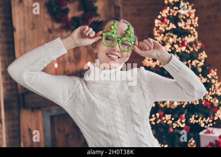 Photo de jeune fille gaie heureux positif sourire mains toucher verres arbre vert costume tradition célébrer à l'intérieur Banque D'Images