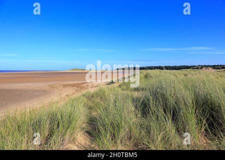 Dunes de sable sur la plage de Holkham à la réserve naturelle nationale de Holkham, Norfolk Coast Path, Holkham, Norfolk, Angleterre,ROYAUME-UNI. Banque D'Images