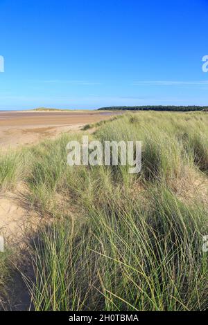 Dunes de sable sur la plage de Holkham à la réserve naturelle nationale de Holkham, Norfolk Coast Path, Holkham, Norfolk, Angleterre,ROYAUME-UNI. Banque D'Images