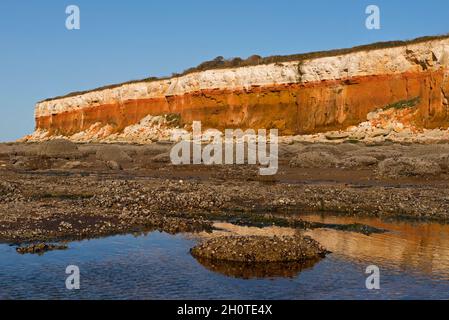 Barnacle couvrait des rochers sur la plage de North Beach, Hunstanton, Norfolk, Angleterre, Royaume-Uni,Également montrant les falaises à rayures roses et blanches. Banque D'Images