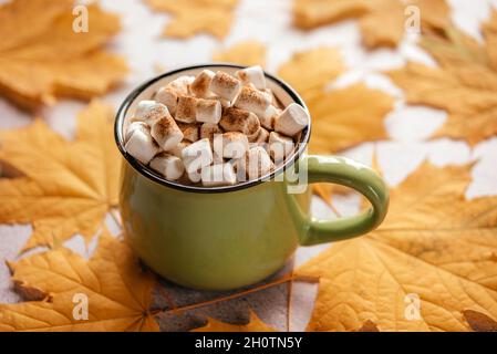 Boisson chaude épicée d'automne avec guimauve sur fond de feuilles dorées jaunes, une tasse de chocolat chaud Banque D'Images