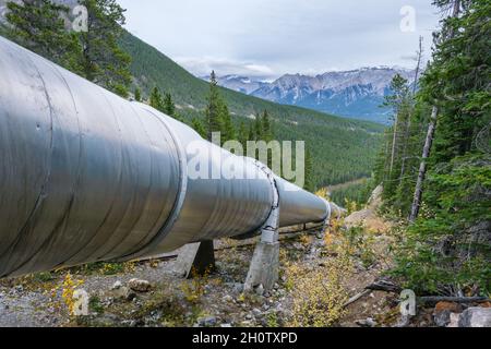 Canalisation d'eau vers la centrale hydroélectrique de Rundle, près de Canmore (Alberta), Canada Banque D'Images