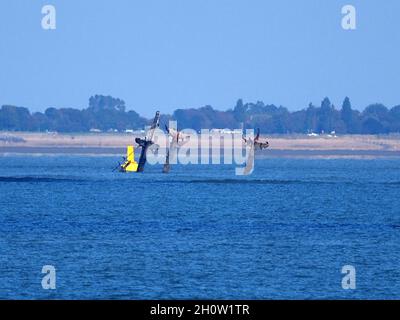 Sheerness, Kent, Royaume-Uni.13 octobre 2021.Shipwreck SS Richard Montgomery à 1.5 miles au nord de Sheerness, Kent a été présenté dans le complot de la série dramatique de Sky 'Cobra saison 2'.Le naufrage photographié mercredi de cette semaine.Crédit : James Bell/Alay Live News Banque D'Images