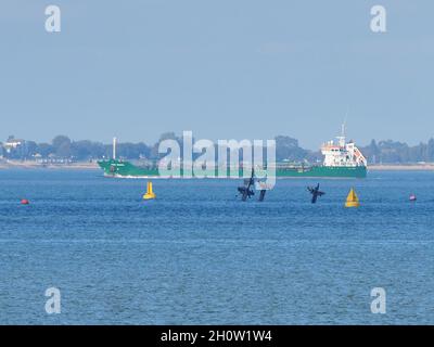 Sheerness, Kent, Royaume-Uni.13 octobre 2021.Shipwreck SS Richard Montgomery à 1.5 miles au nord de Sheerness, Kent a été présenté dans le complot de la série dramatique de Sky 'Cobra saison 2'.Le naufrage photographié mercredi de cette semaine.Crédit : James Bell/Alay Live News Banque D'Images