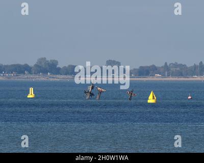 Sheerness, Kent, Royaume-Uni.13 octobre 2021.Shipwreck SS Richard Montgomery à 1.5 miles au nord de Sheerness, Kent a été présenté dans le complot de la série dramatique de Sky 'Cobra saison 2'.Le naufrage photographié mercredi de cette semaine.Crédit : James Bell/Alay Live News Banque D'Images