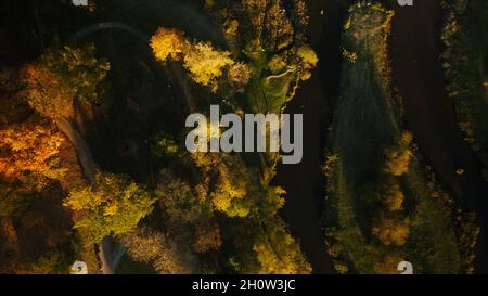 Vol au-dessus du parc d'automne.Des arbres avec des feuilles jaunes d'automne sont visibles.Photographie aérienne. Banque D'Images