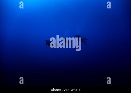 Silhouette de trois plongeurs de plongée nageant en bleu profond Banque D'Images