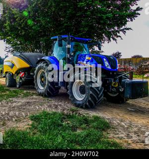 Chat Banque D'Images