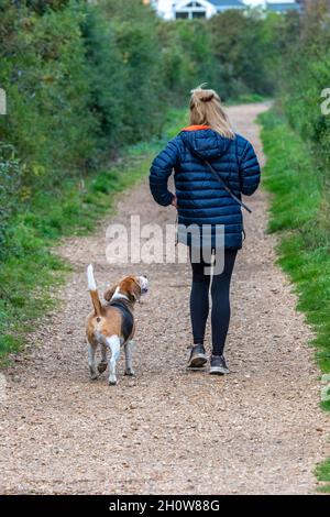 femme marchant son chien seul le long d'une ruelle de campagne. femme marchant beagle long d'une piste ou d'un sentier public dans la campagne. Banque D'Images