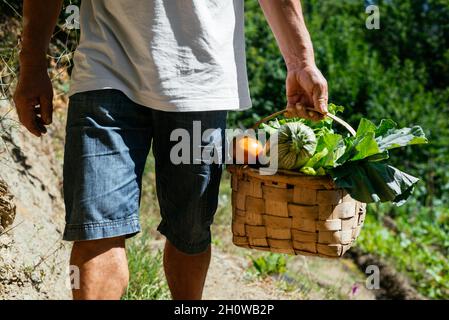 Homme suspendu Un panier de légumes frais Banque D'Images