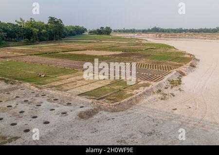 KANTANAGAR, BANGLADESH - 8 NOVEMBRE 2016 : paysans dans un champ de Kantanagar près de la rivière Dhepa, Bangladesh Banque D'Images