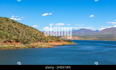 Lac du désert avec cactus au bord de l'eau.Lac Roosevelt dans le désert de Sonoran en Arizona, dans une belle journée ensoleillée avec un ciel bleu et des nuages blancs moelleux. Banque D'Images