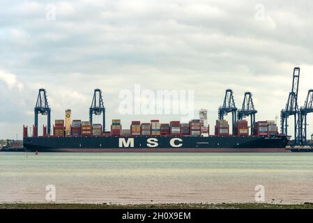 14/10/2021.Felixstowe, Royaume-Uni.Un magasin de fret MSC est amarré au port de Felixstowe qui a dû détourner des navires de l'Asie en raison d'un arriéré de conteneurs non distribués en raison de la pénurie de conducteurs de HGV.AP Moller-Maresk, la plus grande compagnie de conteneurs au monde, a dû charger des conteneurs sur de plus petits navires à destination du Royaume-Uni.Cela a un effet perturbateur puisque l'industrie du transport maritime entre dans la période de livraison avant Noël avec une pénurie possible de produits de Noël vendus au Royaume-Uni. Banque D'Images