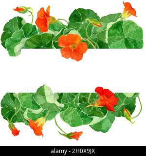 Aquarelle fleurs de Naturtium dessinées à la main dans le modèle de bordures.Illustration botanique des éléments végétaux dans leur composition prête à l'emploi.Conception de tags, Banque D'Images