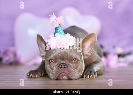 Joli chien Bulldog français avec chapeau de partie d'anniversaire devant un arrière-plan flou pastel violet violet Banque D'Images