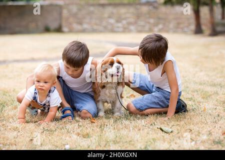 Beaugtiful les enfants d'âge préscolaire, jouer avec chien dans le parc, l'heure d'été Banque D'Images