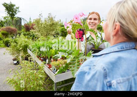 Conseiller un fleuriste et un client sur la culture de fleurs dans un centre de jardin Banque D'Images