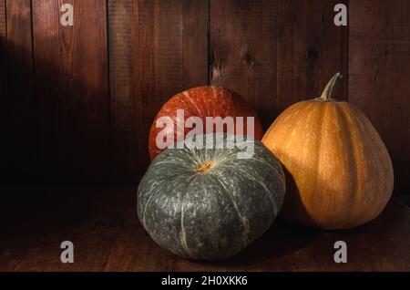 groupe de citrouilles sur fond de bois sombre de style rustique Banque D'Images