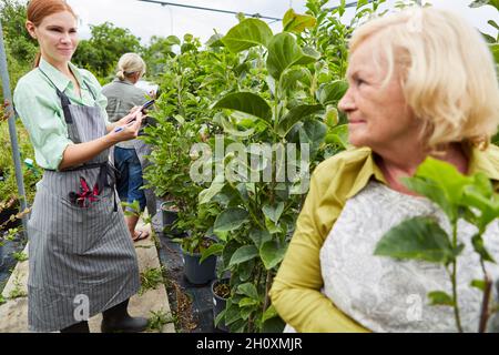 Les femmes jardinières font équipe dans la plantation de la pépinière pendant l'inventaire Banque D'Images