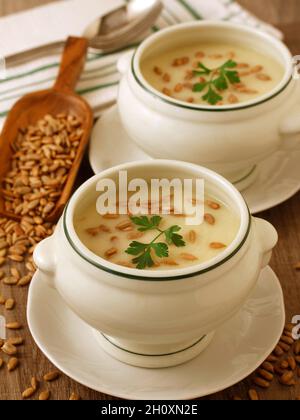 Soupe de courgettes aux graines de tournesol. Banque D'Images