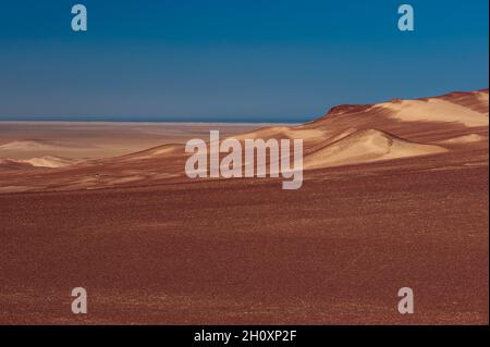Des dunes de sable baignées de soleil sur la côte des squelettes.Skeleton Coast, Kunene, Namibie. Banque D'Images