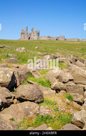 Château de Dunstanburgh Northumberland Angleterre vue de la côte rocheuse près du village de Cester Northumberland côte Angleterre GB Royaume-Uni Europe Banque D'Images