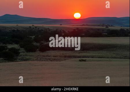 Le soleil se couche sur les prairies et les collines dans le Torra Conservancy.Damaraland, Kunene, Namibie. Banque D'Images