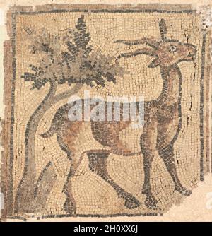 Fragment d'un plancher Mosaïque: Ibex près d'un arbre, 400s.Byzance, Nord de la Syrie, période byzantine, 5ème siècle.Tesserae de marbre; hors tout: 85.1 x 94.6 cm (33 1/2 x 37 1/4 po.); monté: 87.6 x 96.5 cm (34 1/2 x 38 po.).Les deux fragments de mosaïque d'un ibex et d'un bélier (1969.113) faisaient autrefois partie d'une mosaïque de sol beaucoup plus grande qui a décoré une église byzantine ancienne dans le nord de la Syrie.Exposées debout dans le contexte du musée, ces fragments de mosaïque étaient à l'origine exposés à plat, éventuellement flanquant l'autel de l'église pour évoquer un cadre paradisiaque.Le fragment de mosaïque montrant la chute d'Adam et Eve (19 Banque D'Images