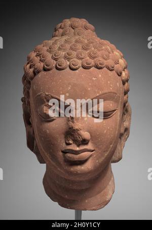 Chef de Bouddha, AD 400s.Nord de l'Inde, Mathura, période Gupta (320-647).Grès; hors tout: 30.6 x 16.6 cm (12 1/16 x 6 9/16 po).Au cours du 5e siècle, les sculpteurs de la ville de Mathura ont atteint un équilibre entre les volumes charnus et les caractéristiques linéaires idéalisées.Les lignes de la voûte plantaire avec la tension et la vigilance, bien que les couvercles soient à moitié fermés.Ses cheveux sont rendus en courtes boucles sur toute la tête et la protubérance crânienne, qui au cours de cette période est venu à être interprété comme une marque de celui qui a atteint l'illumination, son état de conscience ayant dépassé les limites d'une ordina Banque D'Images