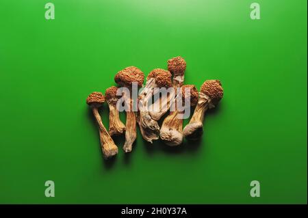 Sécher les champignons psilocybine sur fond vert. Maître d'or de champignon magique psychédélique. Usage médical. Concept de microdosage. Banque D'Images