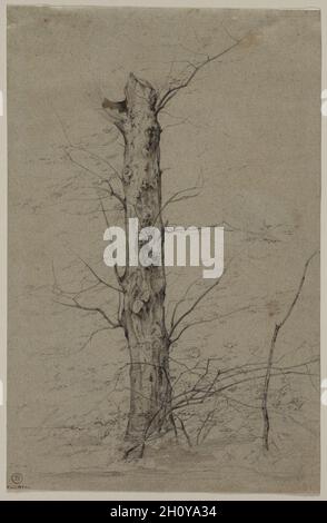 Arbre, c.1835-45.Ludwig Ferdinand Schnorr von Carolsfeld (allemand, 1788-1853).Lavage graphite et brun; feuille: 30.5 x 19.7 cm (12 x 7 3/4 po.).Sous l'influence de son frère Julius Schnorr von Carolsfeld et d'autres Nazaréens, Ludwig Ferdinand Schnorr von Carolsfeld se préoccupait pour la première fois exclusivement de sujets religieux et littéraires.Dans les années 1830, cependant, il se tourna davantage vers le paysage, en partie sous la direction de Ferdinand Olivier (également dans cette galerie). Banque D'Images