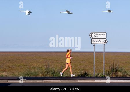 Southport, Merseyside UK Weather ; 15 octobre 2021 le froid vif commence la journée tandis que les habitants de la région se mettent à faire de légers exercices sur la promenade du front de mer, avec des oiseaux sauvages migrateurs en vol au-dessus de la réserve de marécages RSPB.Crédit; MediaWorldImages/AlamyLiveNews Banque D'Images