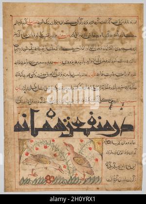 Folio d'un Manafi' al-Hayawan (les avantages des animaux) persan d'Abu Said Ubaid-Allah ibn Jibrail ibn Bakhtishu (mort 1058-68) (verso), c.1300. Iran, Maragah, période Ilkhanid (1256-1353).Aquarelle, encre et or opaques sur papier; image : 10.7 x 6 cm (4 3/16 x 2 3/8 po.); hors tout : 24.7 x 18.2 cm (9 3/4 x 7 3/16 po.); zone de texte : 22.5 x 16.5 cm (8 7/8 x 6 1/2 po.).Les avantages des animaux décrivent les caractéristiques physiques de nombreux animaux différents et fournissent leurs utilisations médicinales à l'époque.La plupart du texte de cette page est une suite d'une section sur les colombes de l'AP précédent Banque D'Images