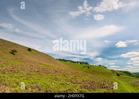 Vue sur les Maures de North York avec vue sur les fougères en train de mourir, les prairies et les arbres sous un ciel nuageux et lumineux à la fin du printemps près de Goathland, Yorkshire, Royaume-Uni Banque D'Images