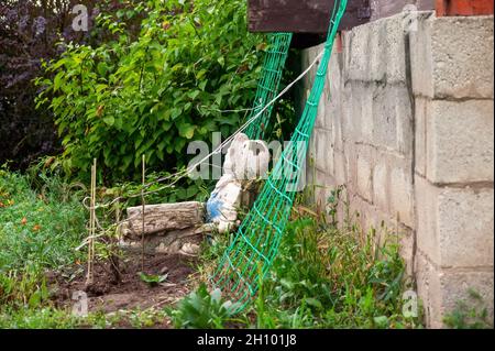 jardin figure d'un nain dans le jardin, en été Banque D'Images