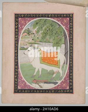 Taurus, d'une série d'astrologie Mandi, c.1810. Attribué à Sanju (Indien, actif fin 1700-début 1800).Gomme tempera et or sur papier ; 25.4 x 20.3 cm (10 x 8 po.).Debout pour le signe astrologique Taurus, le taureau à grande échelle remplit l'espace comme une icône gracieuse derrière un troupeau beaucoup plus petit de vaches.Blanc pur de couleur et de profil parfait, il a été orné d'une corde de cloches, d'un diadème orné de bijoux et de bouts décoratifs sur ses cornes.Un tissu fin avec des motifs arabesques à feuilles d'or le distingue des boeufs, des vaches laitières, et même des éléphants dans le fond lointain. Banque D'Images