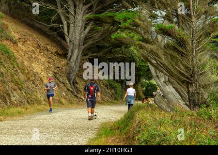 Marcheurs et coureurs sur un sentier à côté du lac de Loe a sur le domaine de Penrose près de Helston dans le sud-ouest de l'Angleterre de Cornwall Banque D'Images