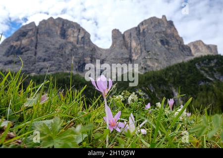 Corvara - août 2020: Vue de Sellaronda près de Colfosco - cascate Piscandu' Banque D'Images