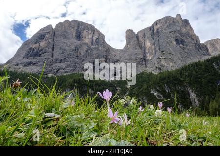 Corvara - août 2020: Vue de Sellaronda près de Colfosco - cascate Piscandu' Banque D'Images